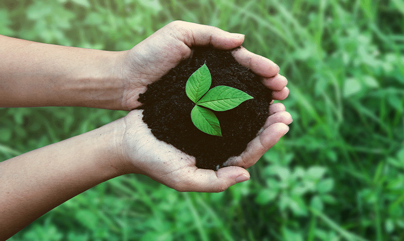 Environmental Awareness